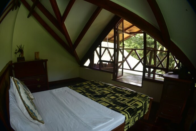 Imagen de la habitación del Hotel Finca La Jorar&aacute;. Foto 12