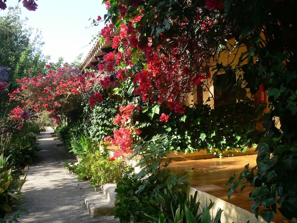 Imagen de la habitación del Hotel Finca Predio Son Serra. Foto 17