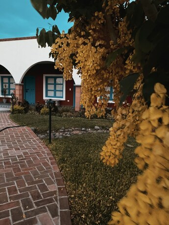 Imagen de la habitación del Hotel Finca San Jos&eacute;. Foto 12