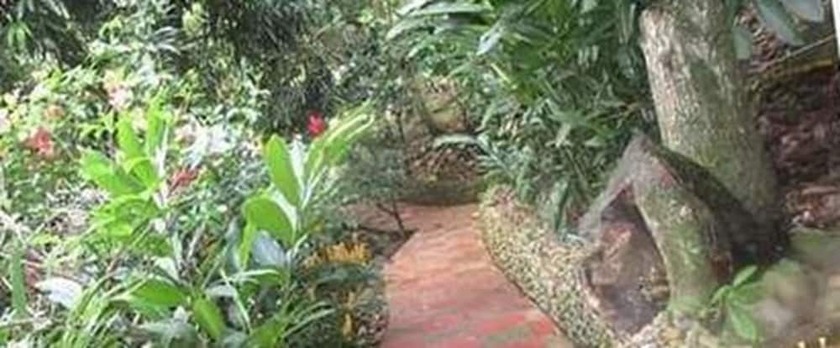 Imagen general del Hotel Finca San Miguel. Foto 5