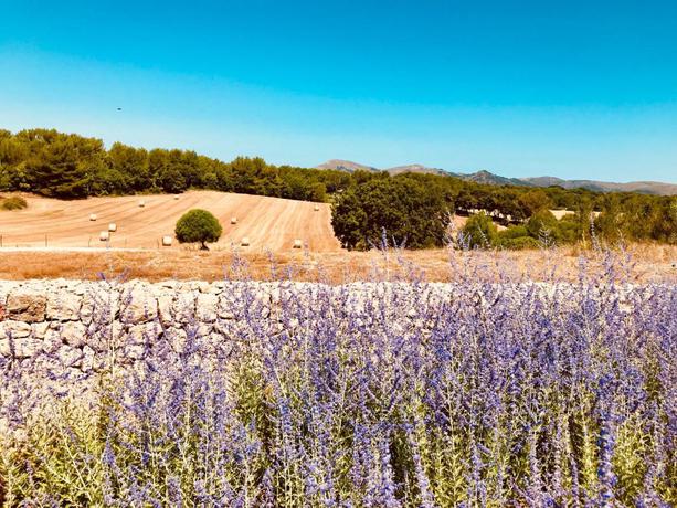 Imagen de los exteriores del Hotel Finca Sestelrica. Foto 7