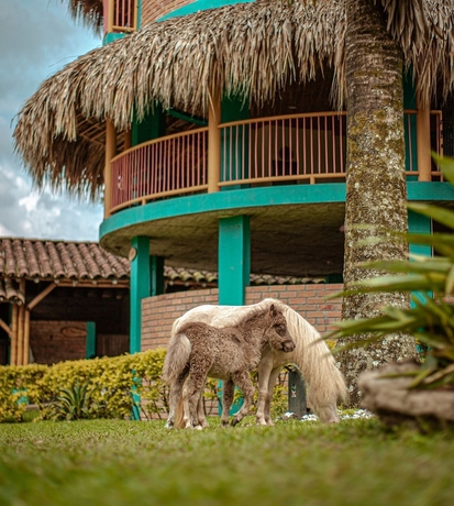Imagen general del Hotel Finca hotel el diamante. Foto 1