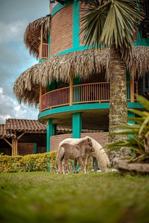 Imagen general del Hotel Finca hotel el diamante. Foto 5