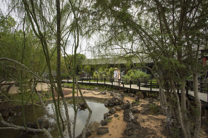 Imagen de los exteriores del Hotel Finch Bay Galapagos. Foto 13