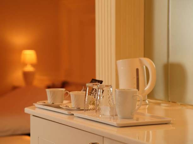 Imagen de la habitación del Hotel Fine Garden Gifu. Foto 5