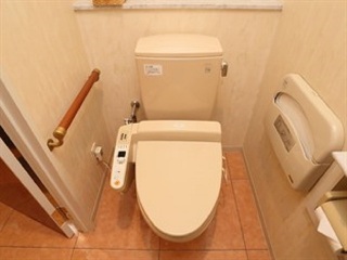 Imagen general del Hotel Fine Sakai. Foto 6