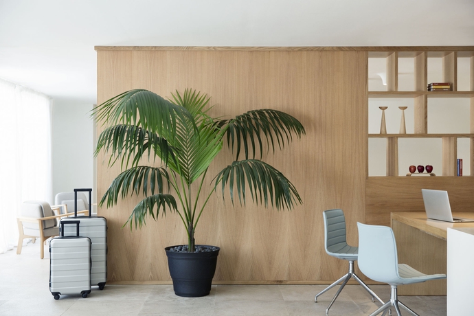 Imagen de la habitación del Hotel Finest Playa Mujeres. Foto 7