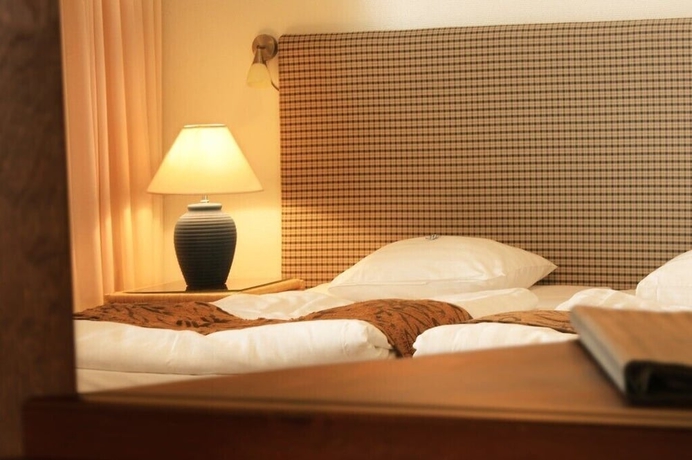 Imagen de la habitación del Hotel Finlandia Seurahuone. Foto 12