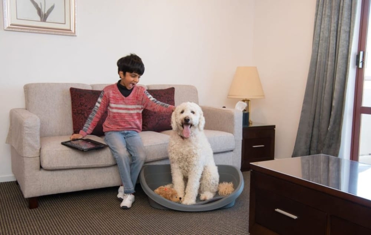 Imagen de la habitación del Hotel Fino and Suites. Foto 7