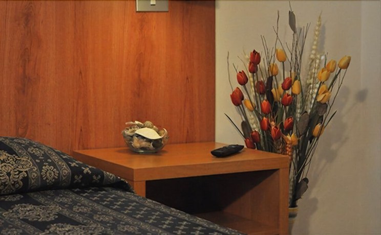 Imagen de la habitación del Hotel Fiorenza, Termini. Foto 6