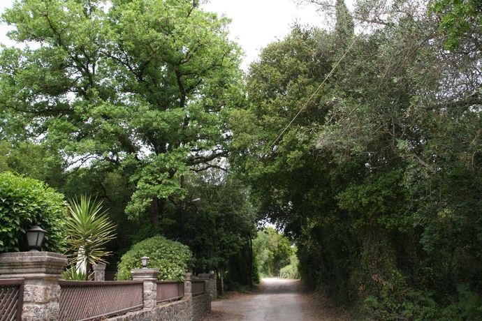 Imagen de los exteriores del Hotel Fiori, Dassia. Foto 10