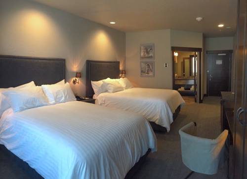 Imagen de la habitación del Hotel Firebrand. Foto 4