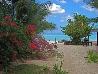 Imagen de los exteriores del Hotel Firefly Beach Cottages. Foto 8