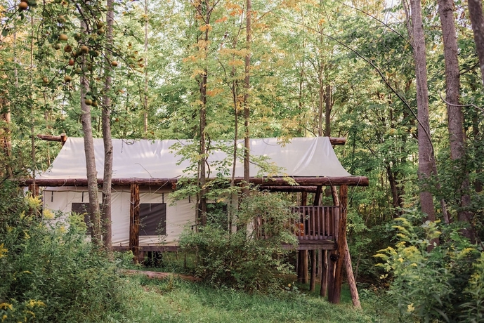 Imagen de la habitación del Hotel Firelight Camps. Foto 12