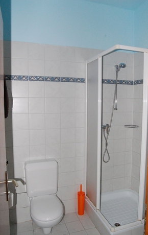 Imagen de la habitación del Hotel Firenze Lugano. Foto 7