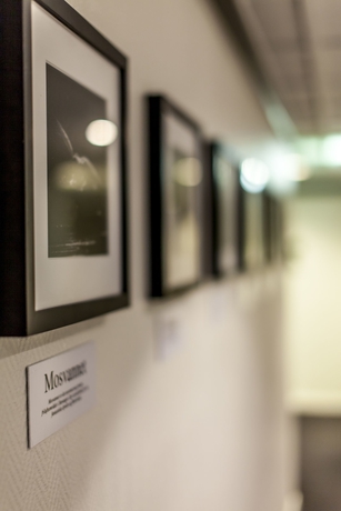 Imagen de los interiores del Hotel First Alstor. Foto 14