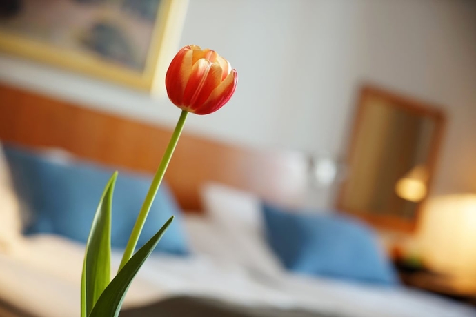 Imagen de la habitación del Hotel First Breiseth. Foto 17