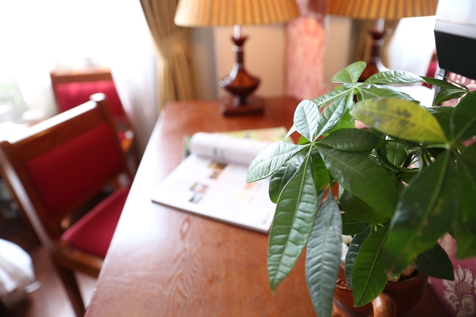 Imagen de la habitación del Hotel First Eden. Foto 7