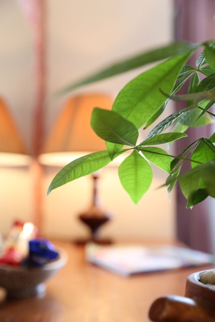 Imagen de los interiores del Hotel First Eden. Foto 15
