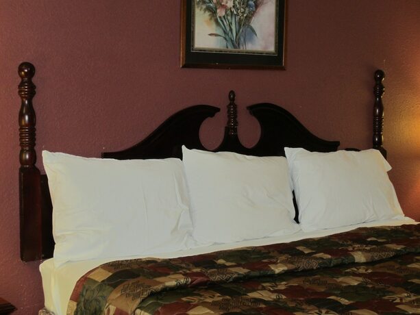 Imagen general del Hotel First Western Inn. Foto 10