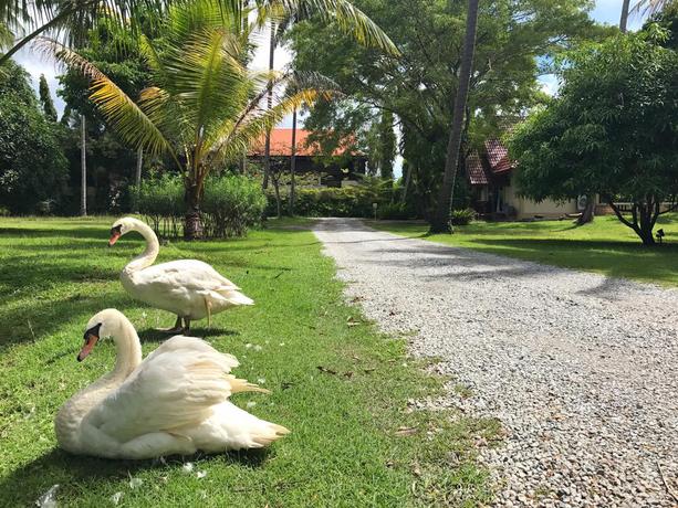 Imagen de los exteriores del Hotel Fisherman Way Beach Villa. Foto 8