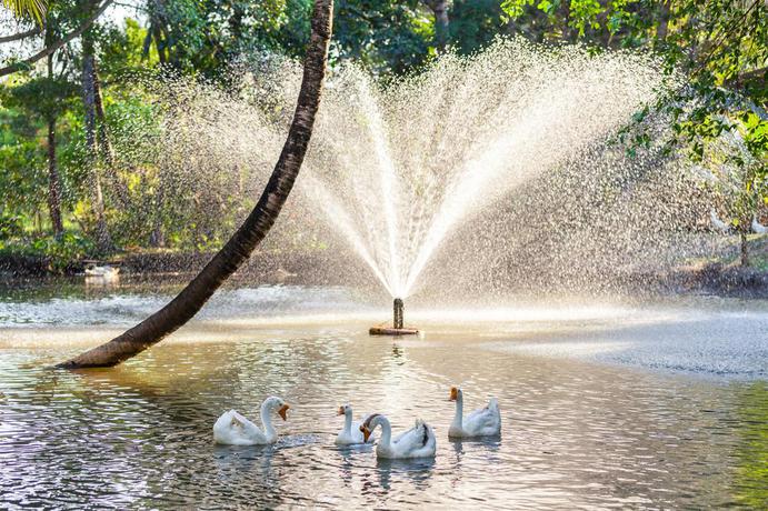 Imagen de los exteriores del Hotel Fisherman Way Beach Villa. Foto 10