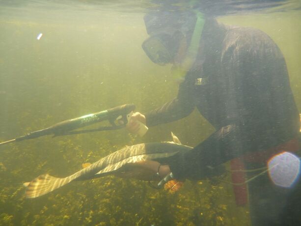 Imagen general del Hotel Fisherman\'s Island. Foto 3