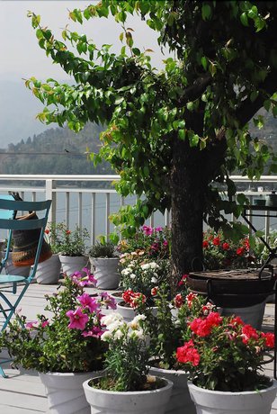 Imagen de los exteriores del Hotel Fishermen\'s Lodge - A Lake Facing Near Nainital. Foto 15