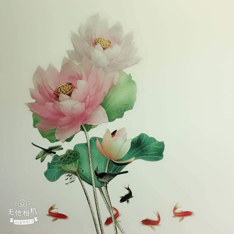 Imagen de la habitación del Hotel Fishfun House. Foto 7