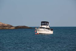 Imagen general del Hotel Fishing And Hunting Camp Tipanovka. Foto 4