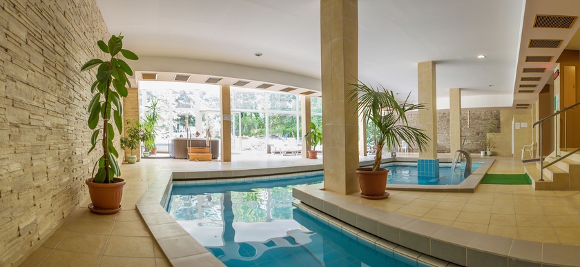 Imagen de la piscina del Hotel Fit Hévíz. Foto 14