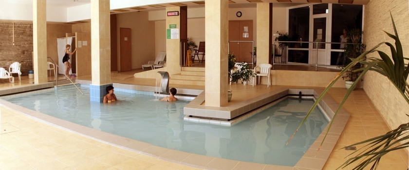 Imagen de la piscina del Hotel Fit Hévíz. Foto 15