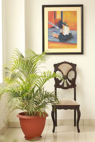 Imagen de los interiores del Hotel Fitzcarrald. Foto 19