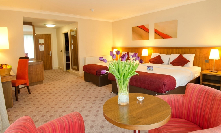 Imagen de la habitación del Hotel Fitzwilton. Foto 7