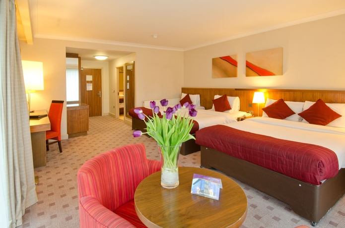 Imagen de la habitación del Hotel Fitzwilton. Foto 10