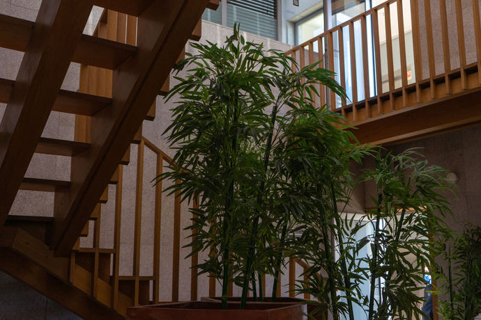 Imagen general del Hotel Flag Barcelos. Foto 4