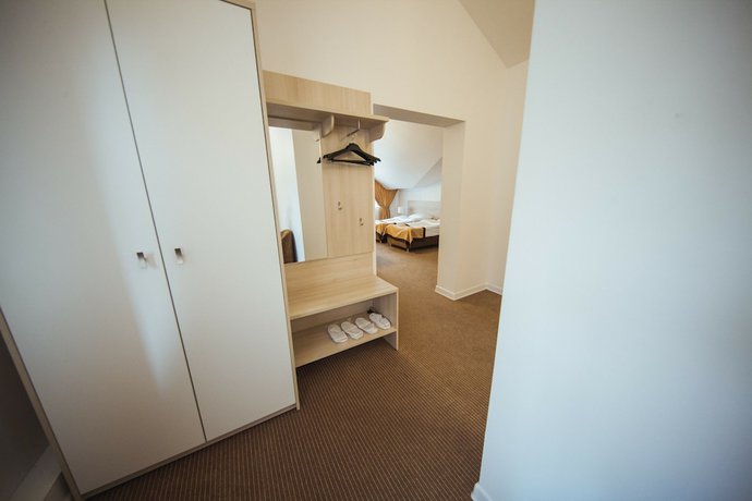 Imagen de la habitación del Hotel Flagman, Novovolkovo. Foto 6