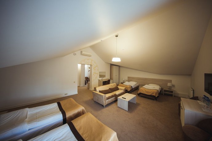 Imagen de la habitación del Hotel Flagman, Novovolkovo. Foto 9