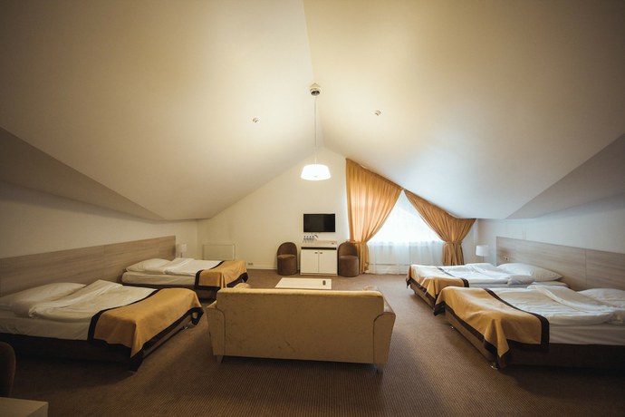 Imagen de la habitación del Hotel Flagman, Novovolkovo. Foto 13