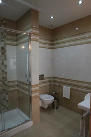 Imagen de la habitación del Hotel Flagman, Novovolkovo. Foto 16