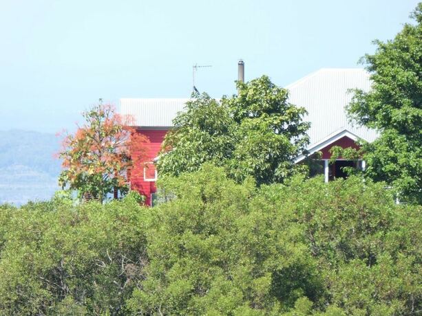 Imagen general del Hotel Flame Hill Vineyard. Foto 10