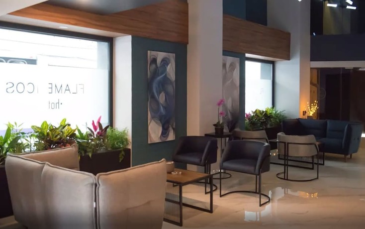 Imagen general del Hotel Flamencos. Foto 3