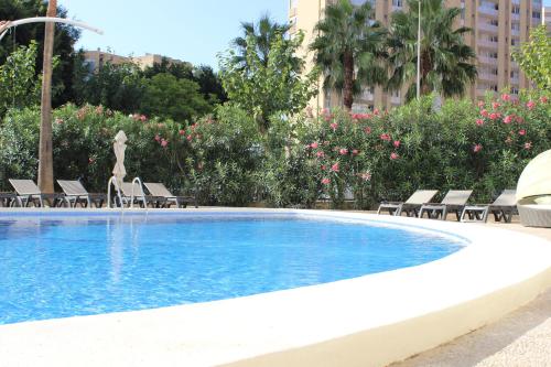 Imagen general del Hotel Flamingo Beach Resort - Adults Recommended. Foto 9