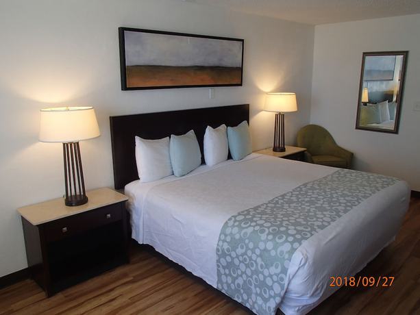 Imagen de la habitación del Hotel Flamingo Inn Beachfront. Foto 10