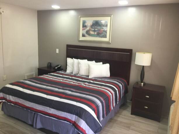 Imagen de la habitación del Hotel Flamingo Inn, Sarasota . Foto 20