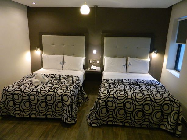 Imagen de la habitación del Hotel Flamingo, Mérida. Foto 11