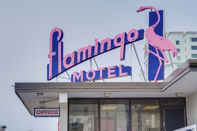 Imagen general del Hotel Flamingo Motel, Ocean City. Foto 1