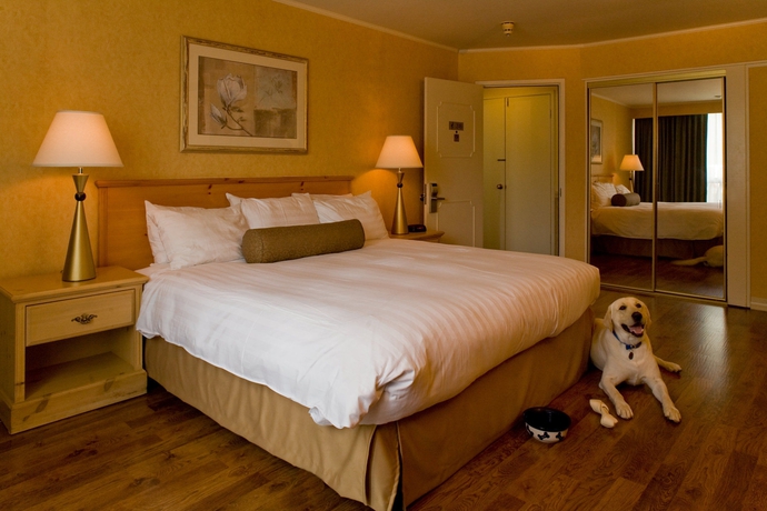 Imagen de la habitación del Hotel Flamingo Resort and Spa. Foto 10