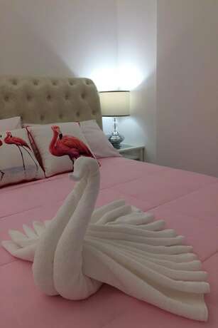 Imagen de la habitación del Hotel Flamingo Villa. Foto 11