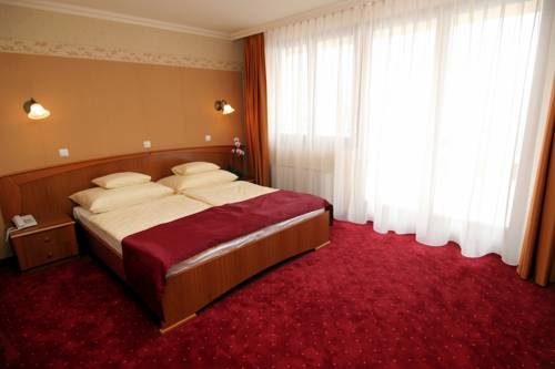 Imagen general del Hotel Flamingó Wellness Hotel. Foto 7